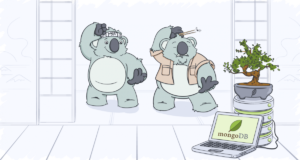 Boas práticas com MongoDB